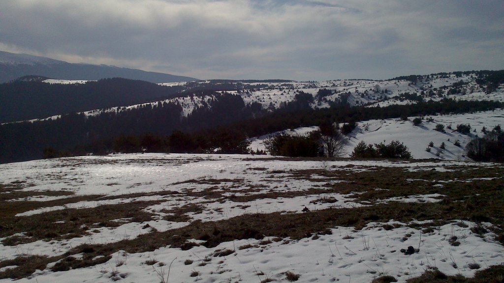 Натиснете снимката за да я уголемите

Име:DSC_0084.jpg
Прегледи:1
Размер:129.2 КБ
ID:5465222