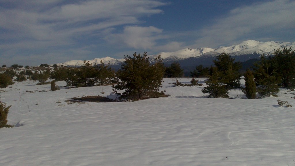 Натиснете снимката за да я уголемите

Име:DSC_0088.jpg
Прегледи:1
Размер:86.3 КБ
ID:5465225