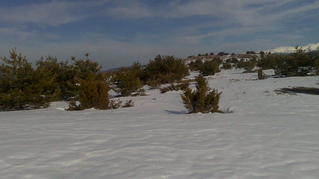 Натиснете снимката за да я уголемите

Име:DSC_0089.jpg
Прегледи:1
Размер:85.2 КБ
ID:5465226