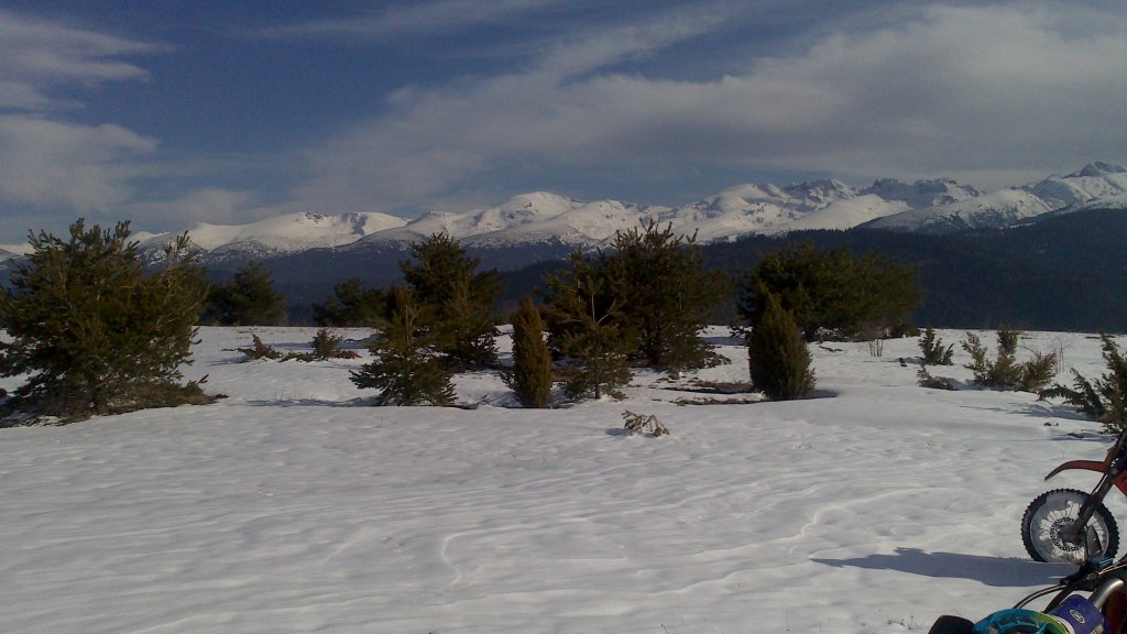 Натиснете снимката за да я уголемите

Име:DSC_0095.jpg
Прегледи:1
Размер:96.6 КБ
ID:5465231