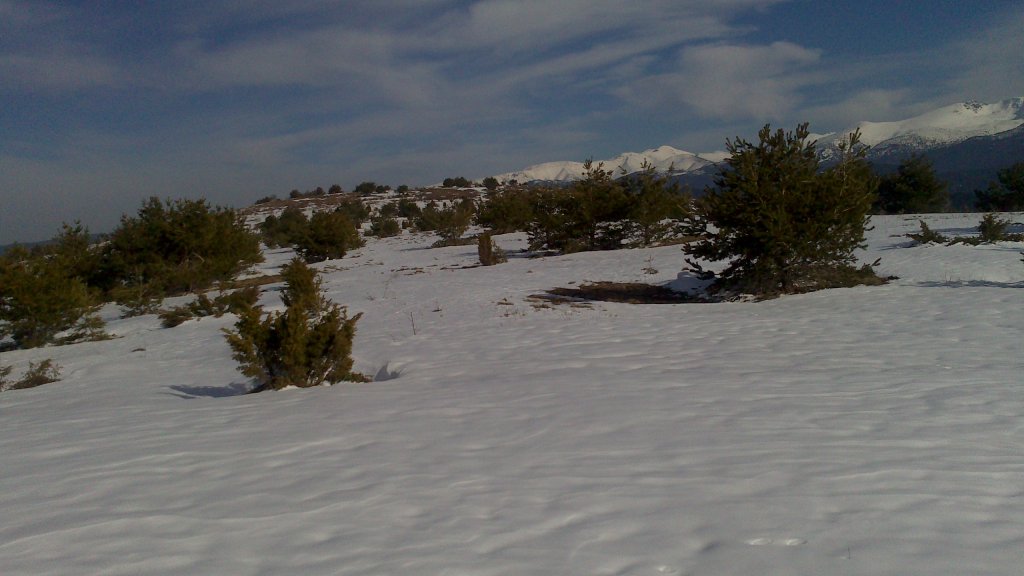 Натиснете снимката за да я уголемите

Име:DSC_0096.jpg
Прегледи:1
Размер:85.4 КБ
ID:5465232