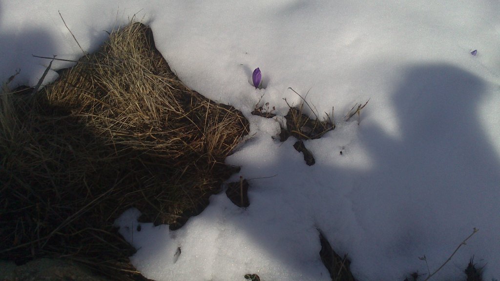 Натиснете снимката за да я уголемите

Име:DSC_0097.jpg
Прегледи:1
Размер:90.8 КБ
ID:5465233