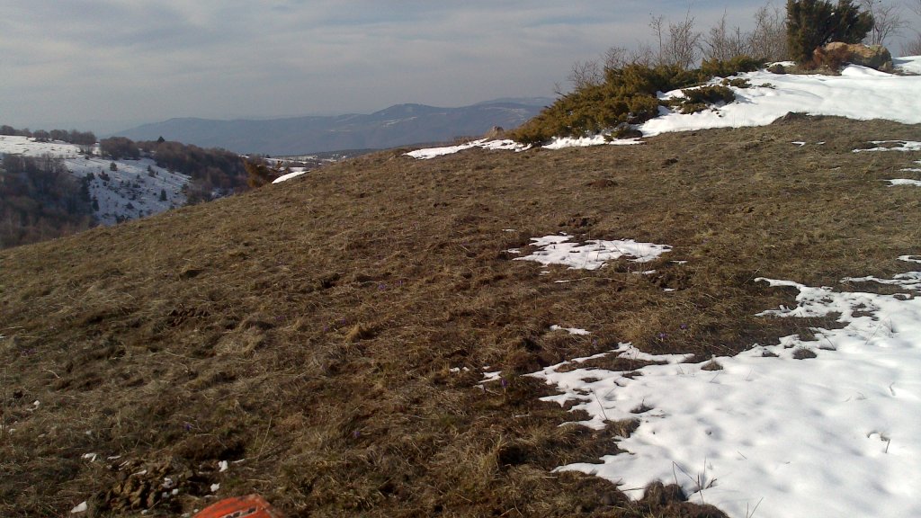 Натиснете снимката за да я уголемите

Име:DSC_0099.jpg
Прегледи:1
Размер:153.7 КБ
ID:5465235