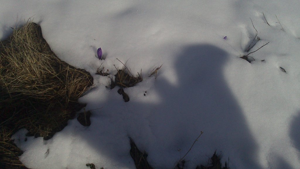 Натиснете снимката за да я уголемите

Име:DSC_0098.jpg
Прегледи:1
Размер:78.6 КБ
ID:5465234