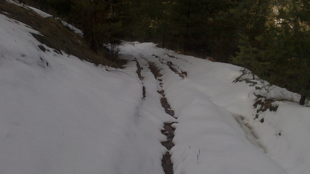 Натиснете снимката за да я уголемите

Име:DSC_0110.jpg
Прегледи:1
Размер:69.5 КБ
ID:5465246