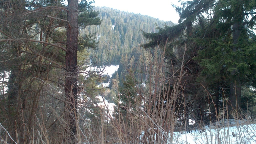 Натиснете снимката за да я уголемите

Име:DSC_0113.jpg
Прегледи:1
Размер:201.2 КБ
ID:5465249