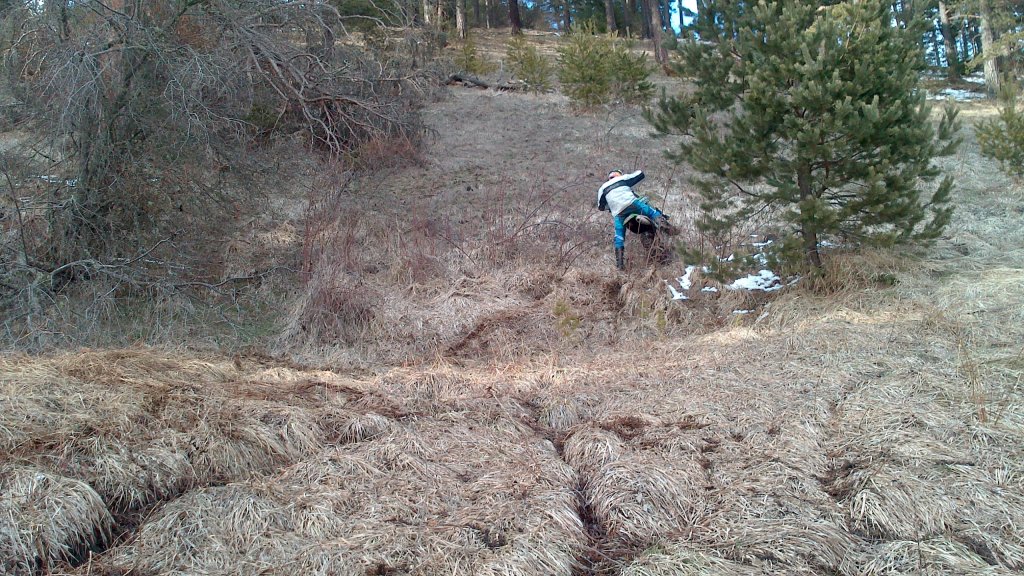 Натиснете снимката за да я уголемите

Име:DSC_0122.jpg
Прегледи:1
Размер:237.8 КБ
ID:5465255