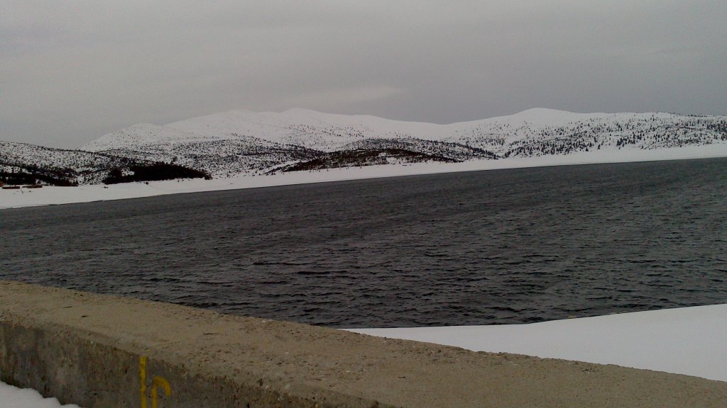 Натиснете снимката за да я уголемите

Име:DSC_1381.jpg
Прегледи:1
Размер:105.1 КБ
ID:5467054