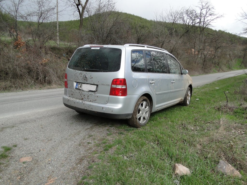 Натиснете снимката за да я уголемите

Име:DSC00015-f.jpg
Прегледи:1
Размер:238.6 КБ
ID:5468780