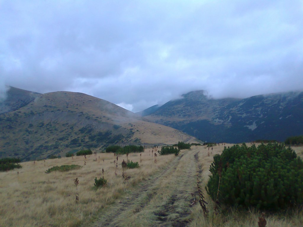 Натиснете снимката за да я уголемите

Име:Снимка1632.jpg
Прегледи:1
Размер:93.8 КБ
ID:5468832