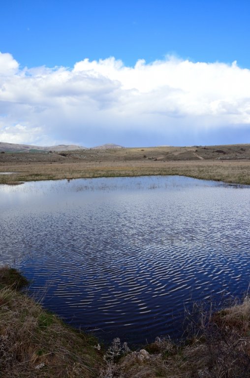 Натиснете снимката за да я уголемите

Име:030101835-bigblato 1.jpg
Прегледи:1
Размер:79.7 КБ
ID:5469478