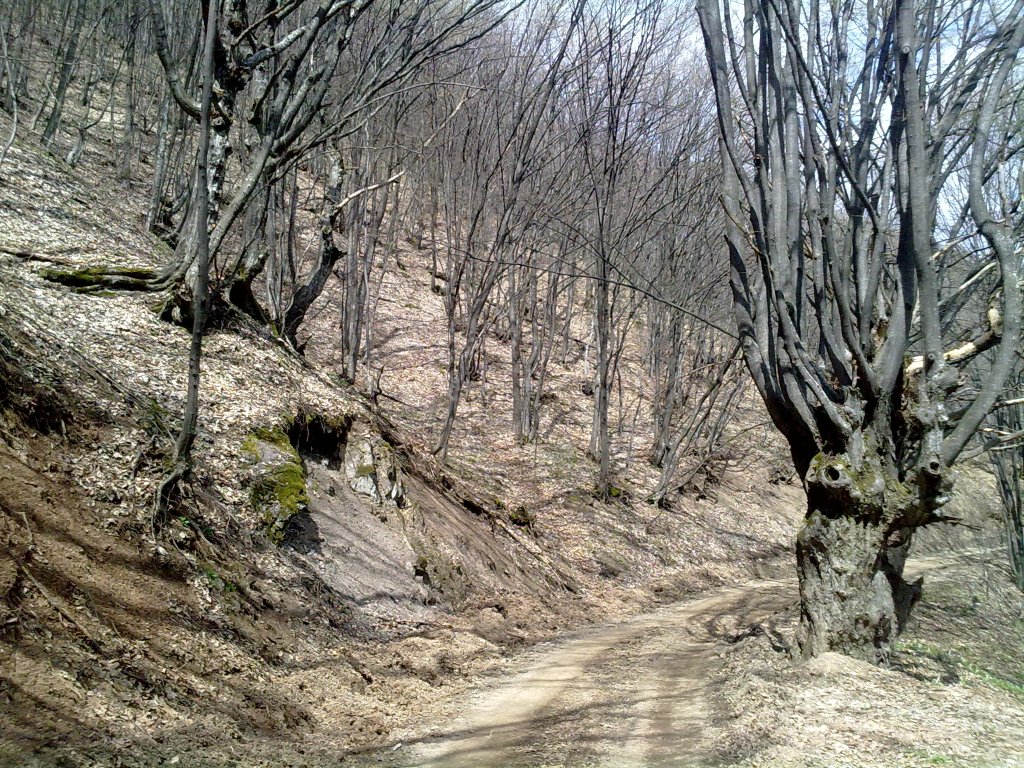 Натиснете снимката за да я уголемите

Име:13042013103.jpg
Прегледи:2
Размер:353.0 КБ
ID:5476166