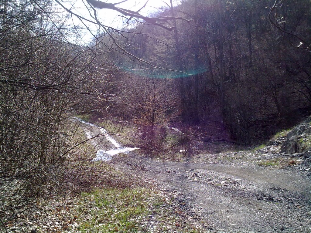 Натиснете снимката за да я уголемите

Име:13042013118.jpg
Прегледи:2
Размер:311.9 КБ
ID:5476168