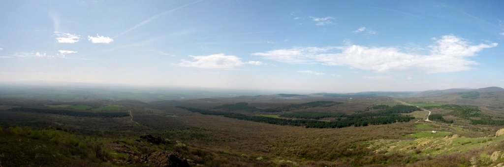 Натиснете снимката за да я уголемите

Име:PANO_20130413_111519_20130414001245868.jpg
Прегледи:1
Размер:49.8 КБ
ID:5470385