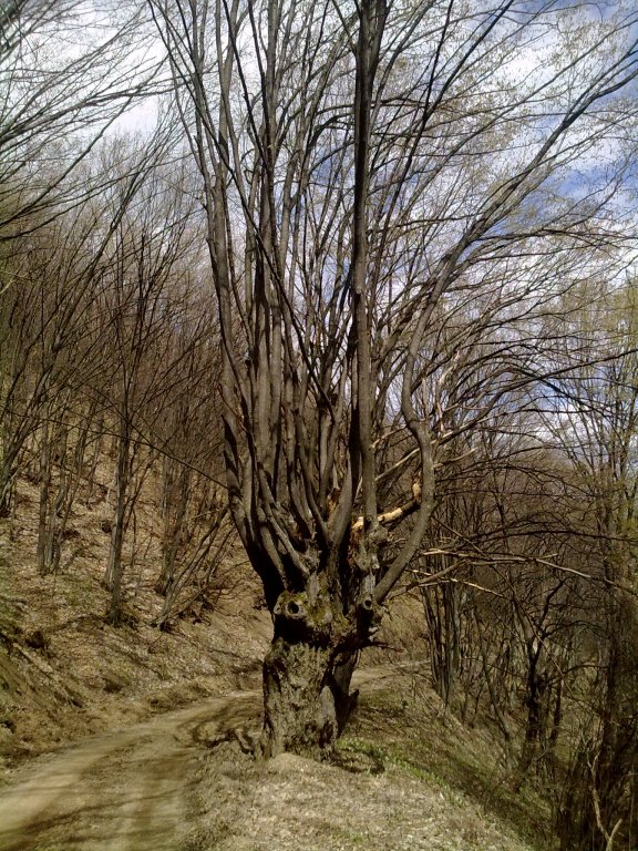 Натиснете снимката за да я уголемите

Име:13042013102.jpg
Прегледи:2
Размер:189.6 КБ
ID:5476165
