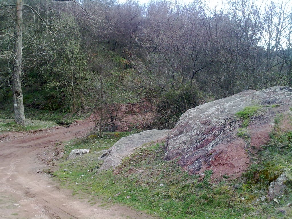 Натиснете снимката за да я уголемите

Име:13042013126.jpg
Прегледи:2
Размер:283.7 КБ
ID:5476187