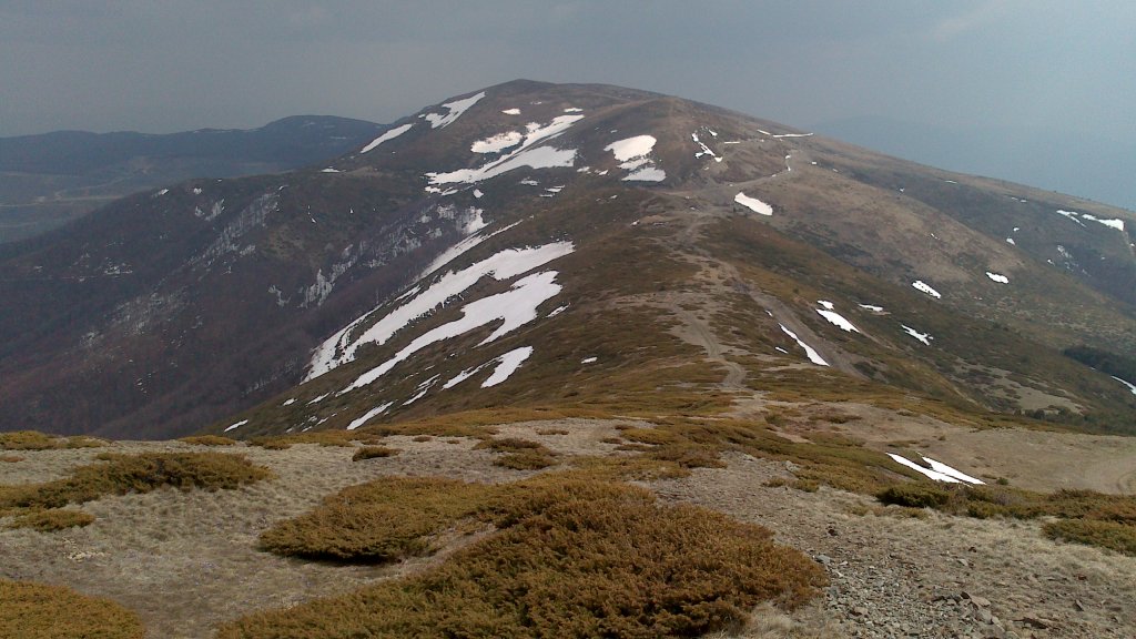 Натиснете снимката за да я уголемите

Име:DSC_1551.jpg
Прегледи:1
Размер:130.3 КБ
ID:5474416