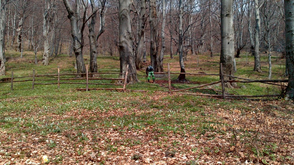 Натиснете снимката за да я уголемите

Име:DSC_1560.jpg
Прегледи:1
Размер:264.4 КБ
ID:5474422