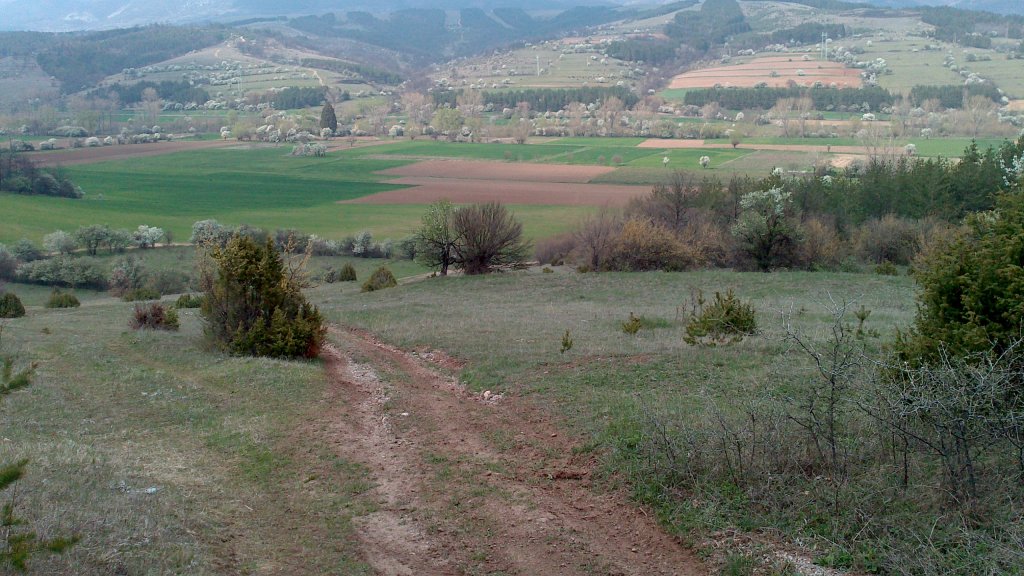 Натиснете снимката за да я уголемите

Име:DSC_1571.jpg
Прегледи:1
Размер:161.2 КБ
ID:5474433