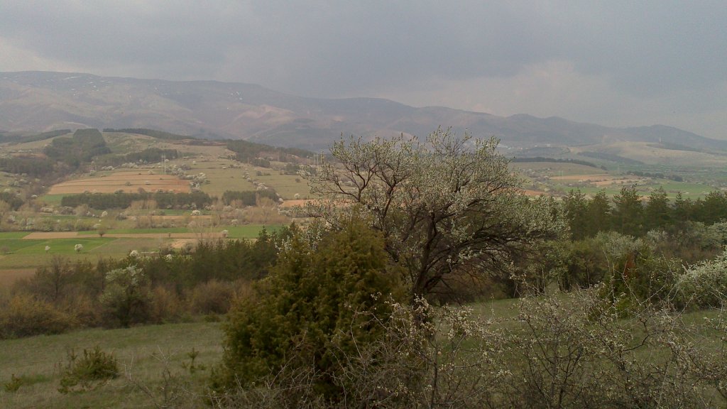 Натиснете снимката за да я уголемите

Име:DSC_1573.jpg
Прегледи:1
Размер:119.7 КБ
ID:5474436