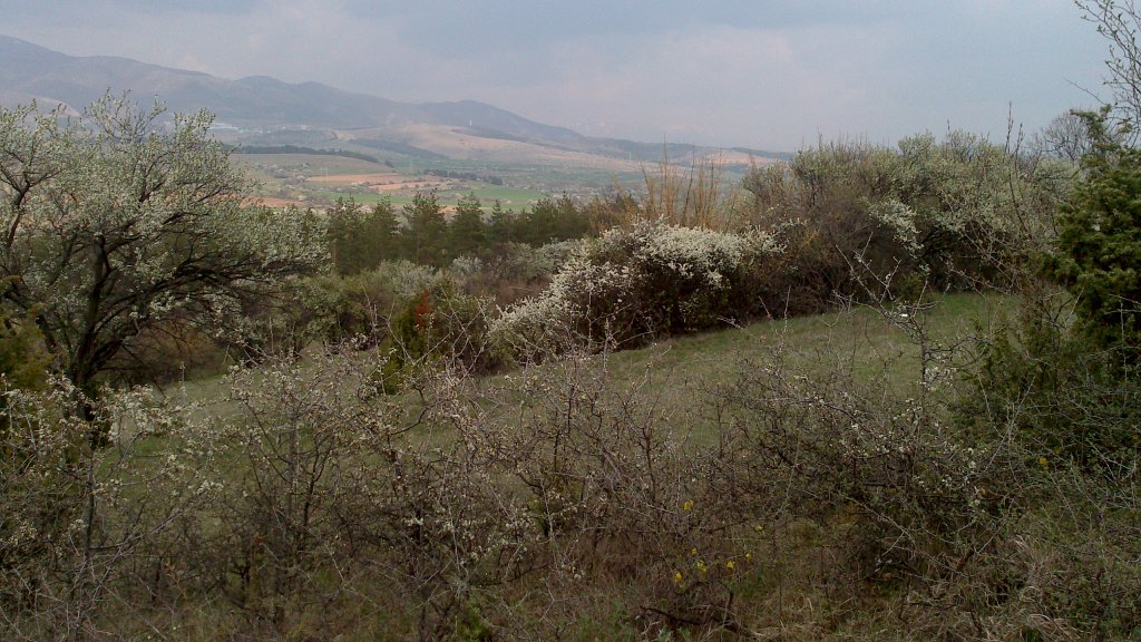 Натиснете снимката за да я уголемите

Име:DSC_1574.jpg
Прегледи:1
Размер:177.4 КБ
ID:5474437