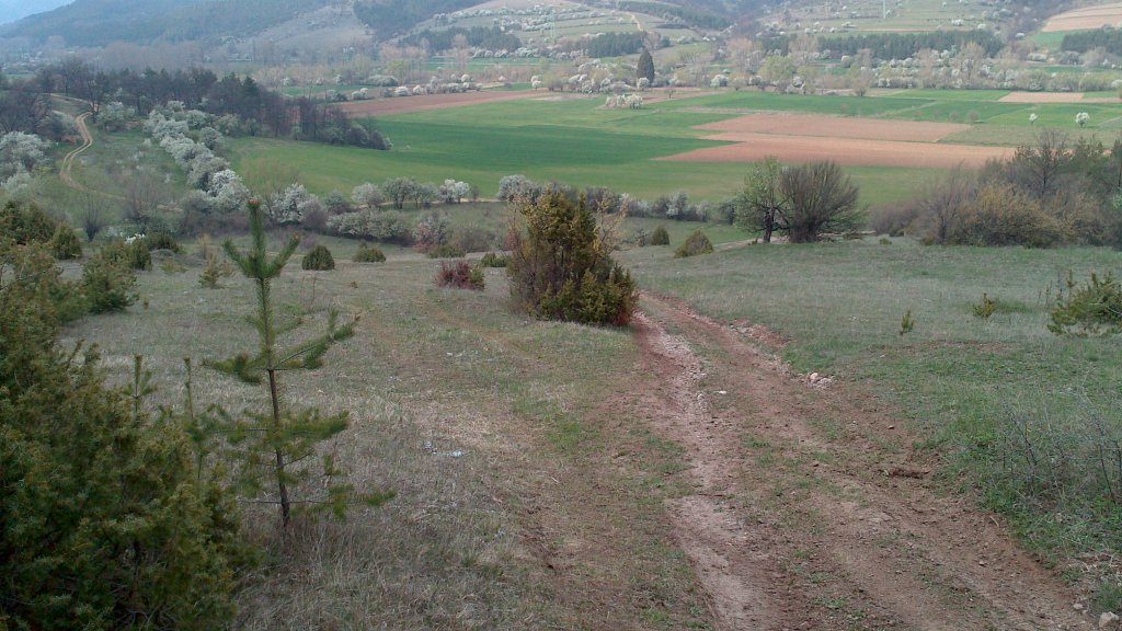 Натиснете снимката за да я уголемите

Име:DSC_1576.jpg
Прегледи:1
Размер:155.6 КБ
ID:5474439