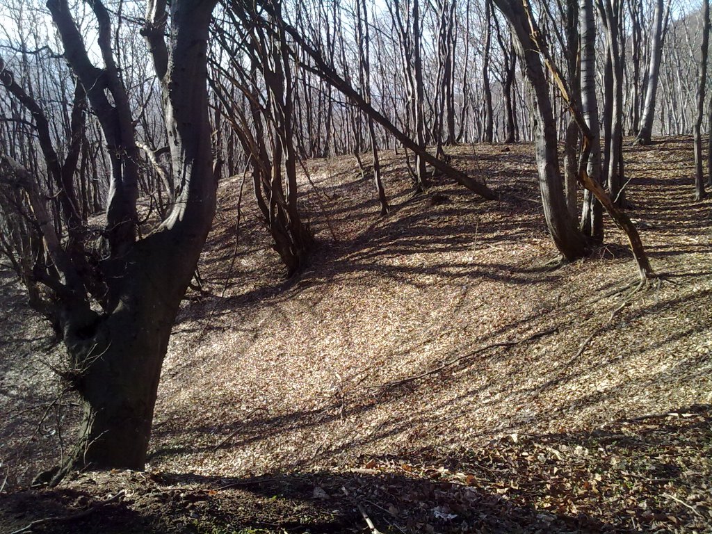 Натиснете снимката за да я уголемите

Име:20032013071.jpg
Прегледи:1
Размер:337.6 КБ
ID:6011863