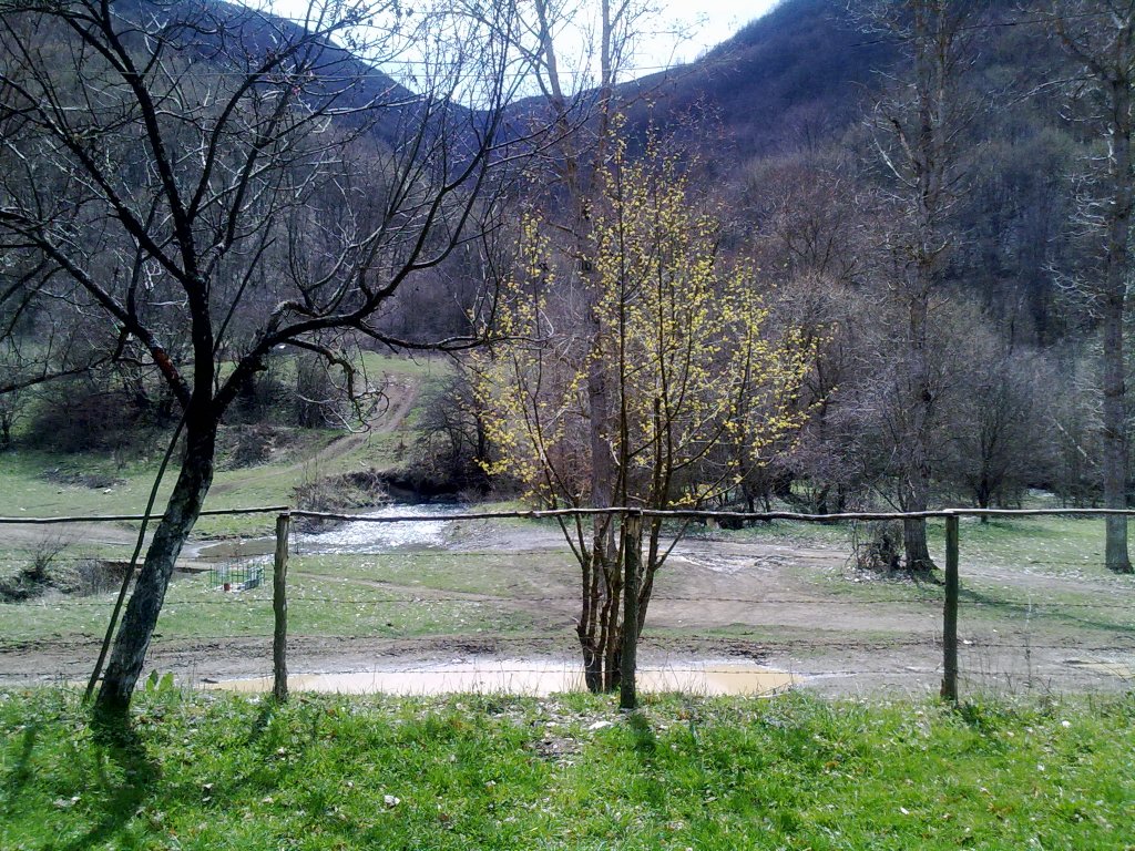 Натиснете снимката за да я уголемите

Име:13042013111.jpg
Прегледи:1
Размер:300.9 КБ
ID:5476173