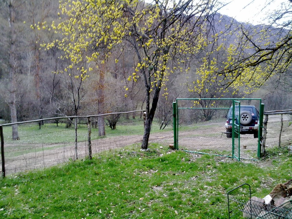 Натиснете снимката за да я уголемите

Име:13042013113.jpg
Прегледи:1
Размер:276.1 КБ
ID:5476175