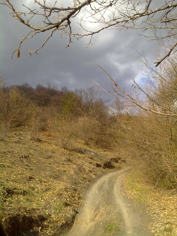 Натиснете снимката за да я уголемите

Име:13042013117.jpg
Прегледи:1
Размер:131.7 КБ
ID:5476178