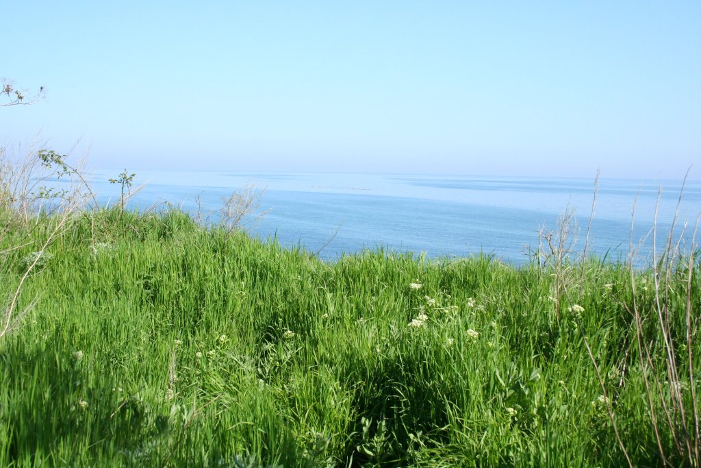 Натиснете снимката за да я уголемите

Име:IMG_0575.jpg
Прегледи:1
Размер:166.0 КБ
ID:5476308