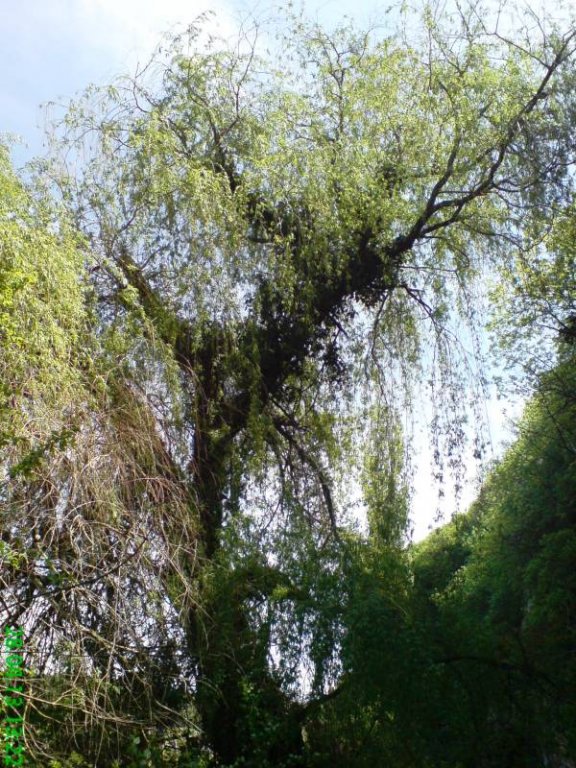 Натиснете снимката за да я уголемите

Име:DSC02007.jpg
Прегледи:1
Размер:152.7 КБ
ID:5476566