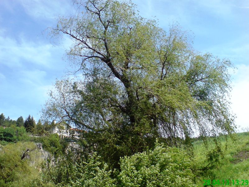 Натиснете снимката за да я уголемите

Име:DSC02013.JPG
Прегледи:1
Размер:155.7 КБ
ID:5476571