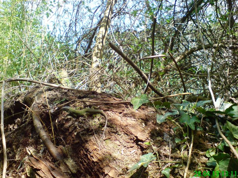 Натиснете снимката за да я уголемите

Име:DSC02000.JPG
Прегледи:1
Размер:164.5 КБ
ID:5476575