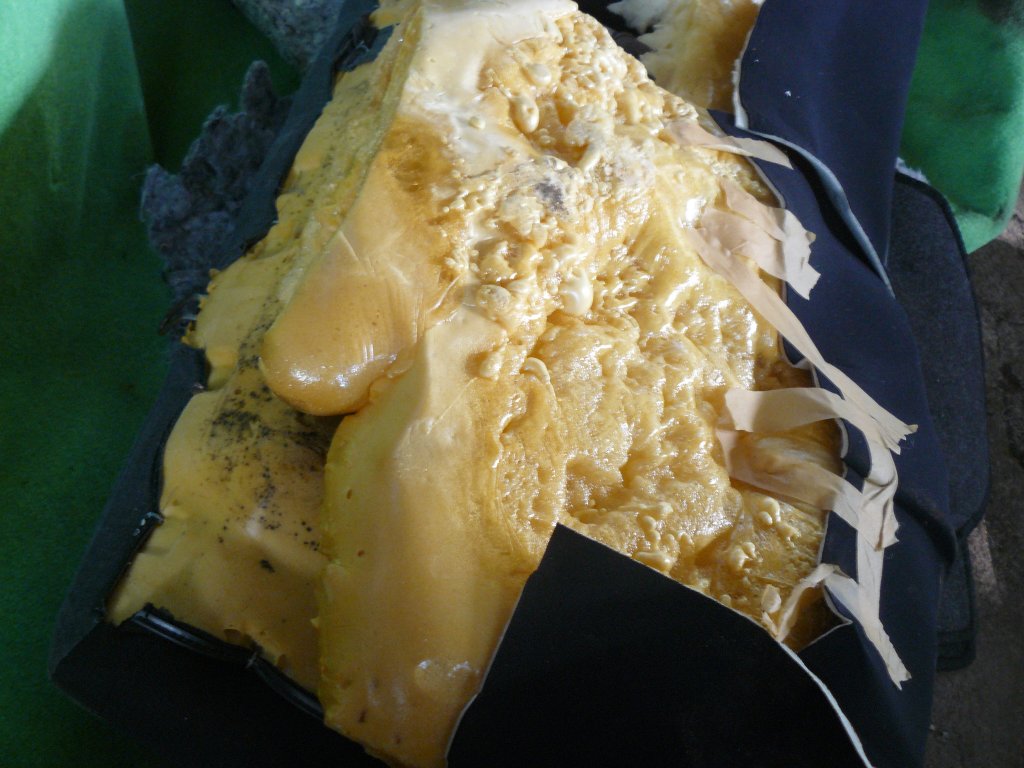 Натиснете снимката за да я уголемите

Име:P1080455.jpg
Прегледи:1
Размер:126.0 КБ
ID:5476979