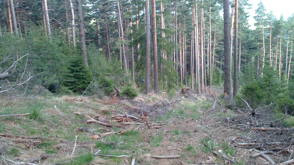 Натиснете снимката за да я уголемите

Име:DSC_0188.jpg
Прегледи:1
Размер:210.6 КБ
ID:5477758