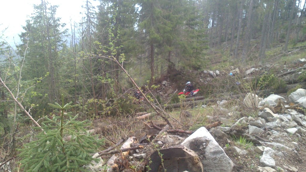 Натиснете снимката за да я уголемите

Име:DSC_0298.jpg
Прегледи:1
Размер:151.7 КБ
ID:5478596