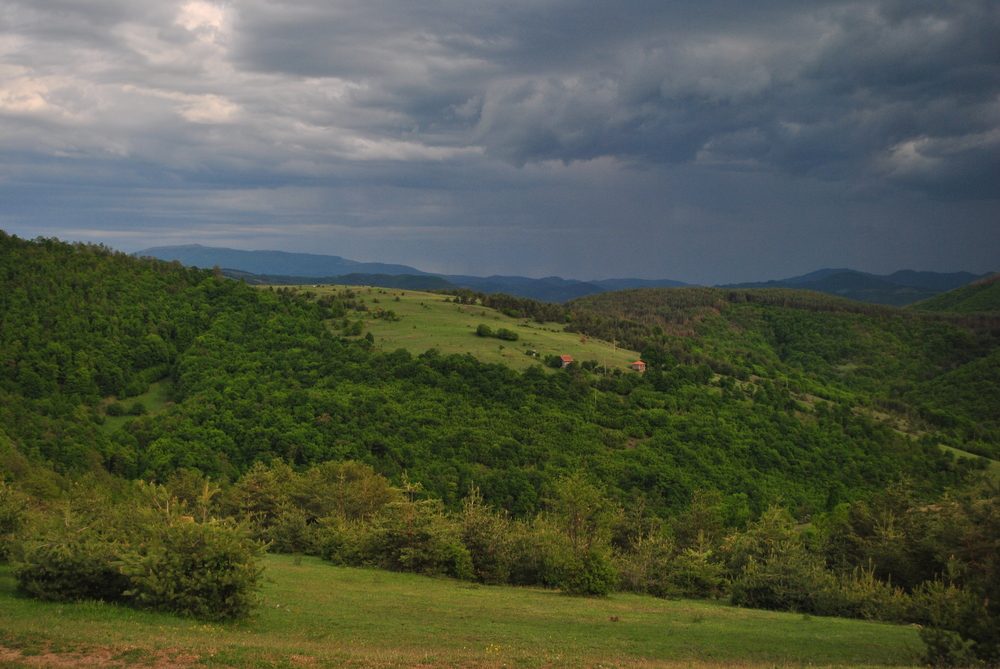 Натиснете снимката за да я уголемите

Име:DSC_9387.JPG
Прегледи:1
Размер:677.2 КБ
ID:6013801