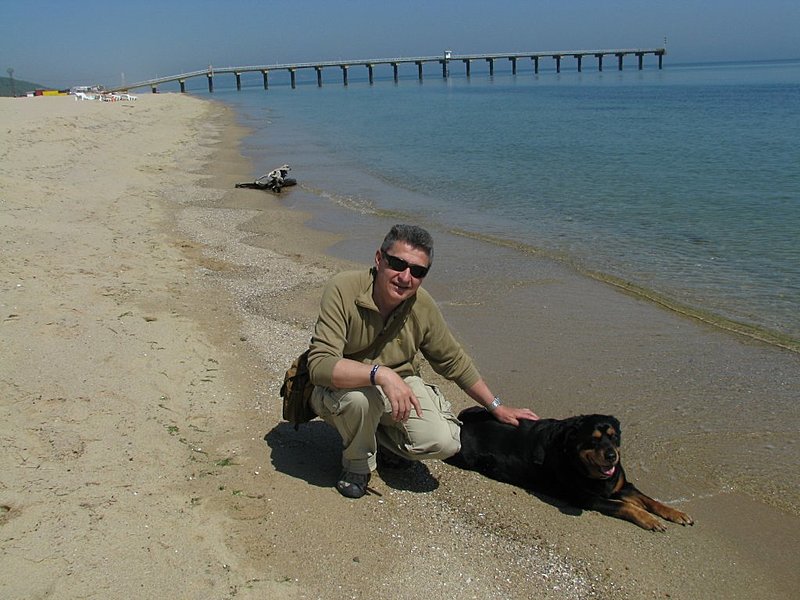 Натиснете снимката за да я уголемите

Име:Варна 2013 052.jpg
Прегледи:1
Размер:129.4 КБ
ID:5481879