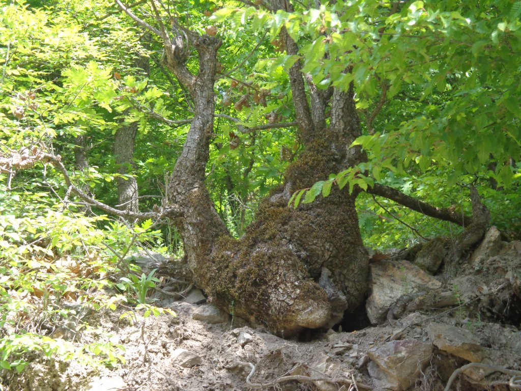 Натиснете снимката за да я уголемите

Име:DSC01096.jpg
Прегледи:1
Размер:276.5 КБ
ID:5481999