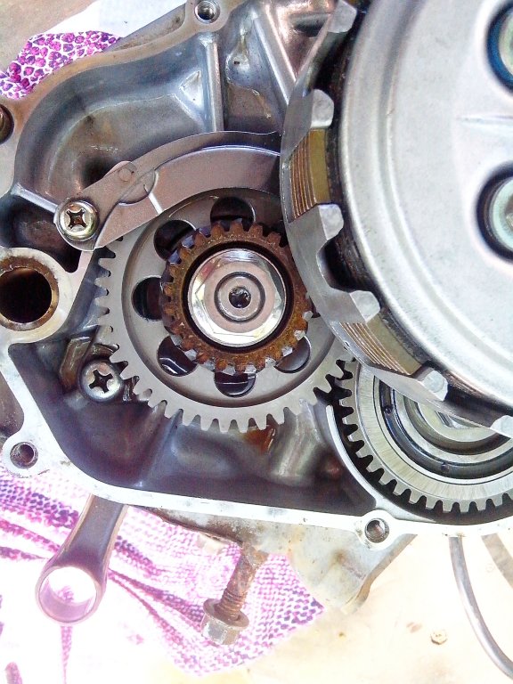 Натиснете снимката за да я уголемите

Име:IMG_20130426_161703.jpg
Прегледи:1
Размер:113.8 КБ
ID:5482093