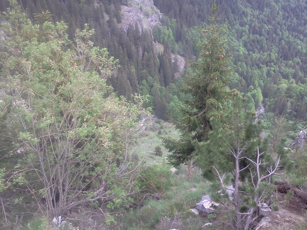 Натиснете снимката за да я уголемите

Име:IMG20130526_019.jpg
Прегледи:1
Размер:222.5 КБ
ID:5490853