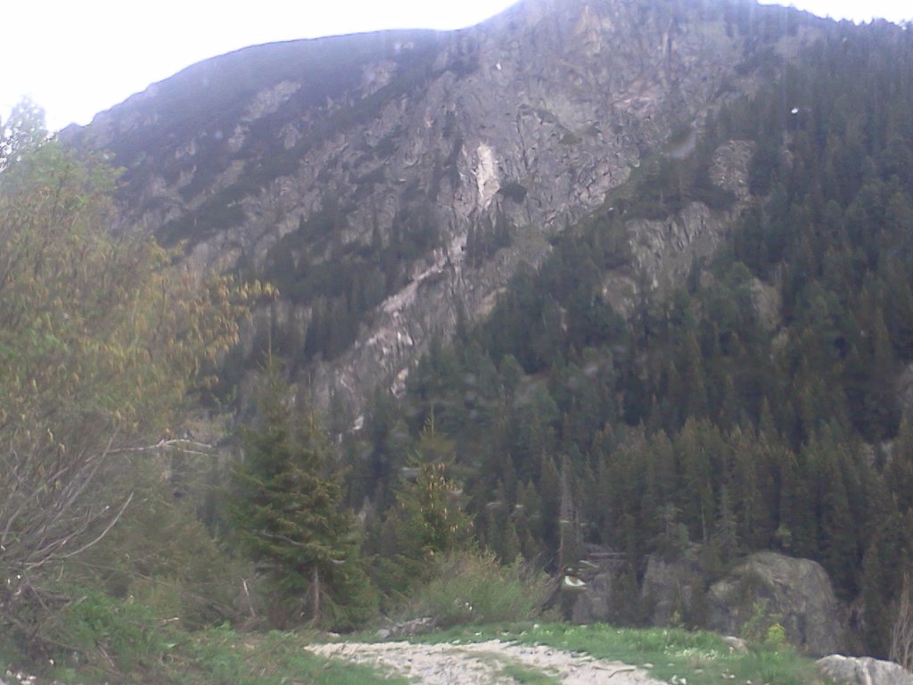 Натиснете снимката за да я уголемите

Име:IMG20130526_022.jpg
Прегледи:1
Размер:117.3 КБ
ID:5490855