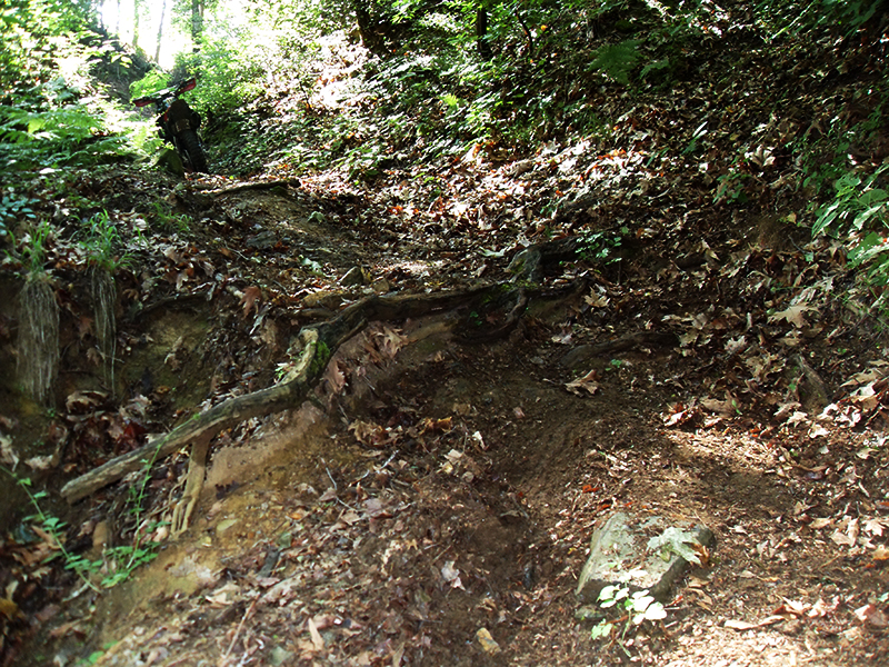 Натиснете снимката за да я уголемите

Име:SDC13627.JPG
Прегледи:1
Размер:770.2 КБ
ID:5491068