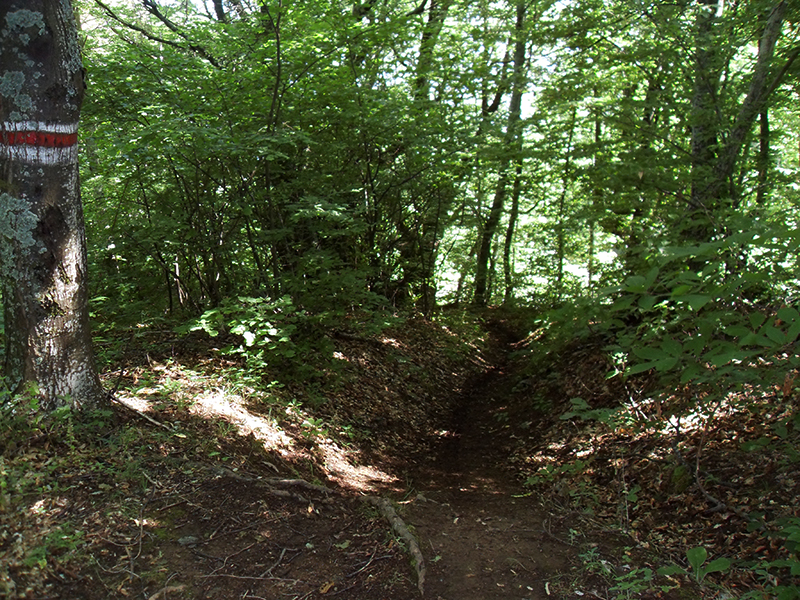 Натиснете снимката за да я уголемите

Име:SDC13628.JPG
Прегледи:1
Размер:710.4 КБ
ID:5491069