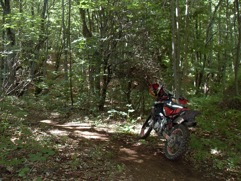 Натиснете снимката за да я уголемите

Име:SDC13629.JPG
Прегледи:1
Размер:633.6 КБ
ID:5491070