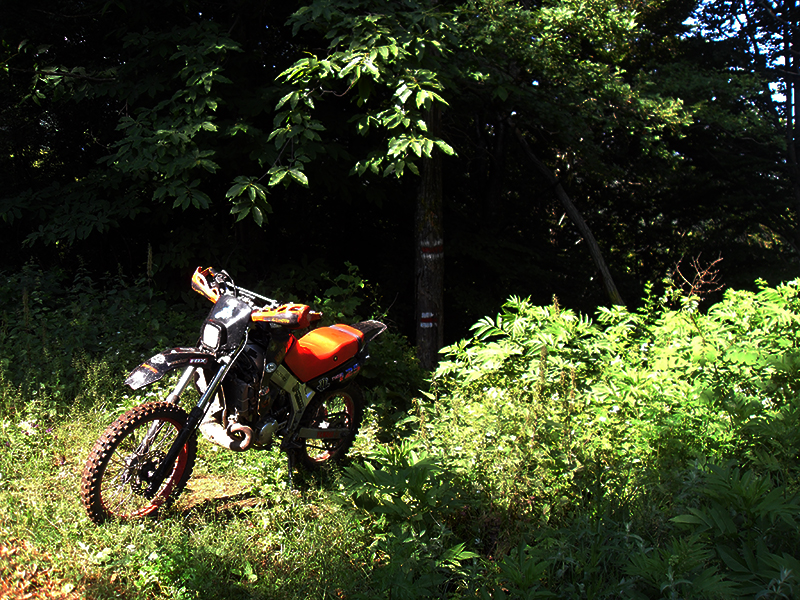 Натиснете снимката за да я уголемите

Име:SDC13621 copy.jpg
Прегледи:1
Размер:704.9 КБ
ID:5491071