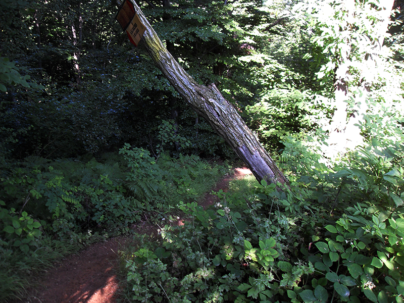 Натиснете снимката за да я уголемите

Име:SDC13622.JPG
Прегледи:1
Размер:684.3 КБ
ID:5491072