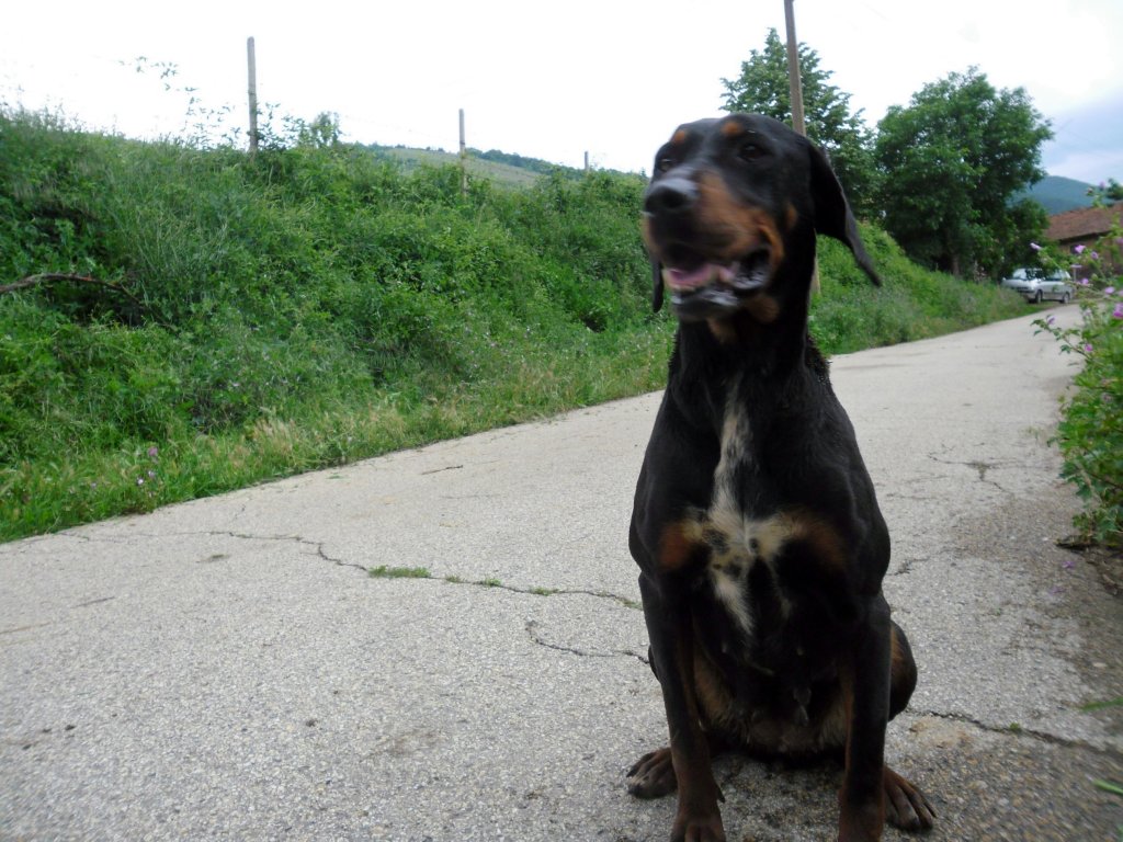 Натиснете снимката за да я уголемите

Име:SAM_4096.jpg
Прегледи:1
Размер:171.3 КБ
ID:5493948