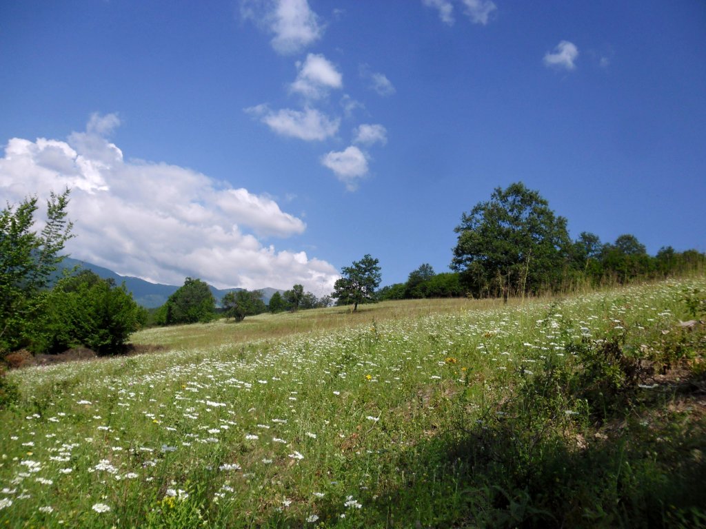 Натиснете снимката за да я уголемите

Име:SAM_4099.jpg
Прегледи:1
Размер:169.1 КБ
ID:5493949